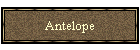 Antelope